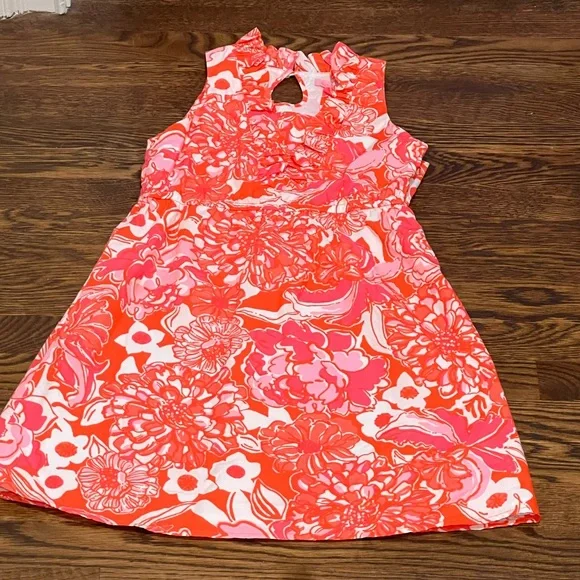 Lily Pulitzer Beautiful Floral Dress - Picture 10 of 10